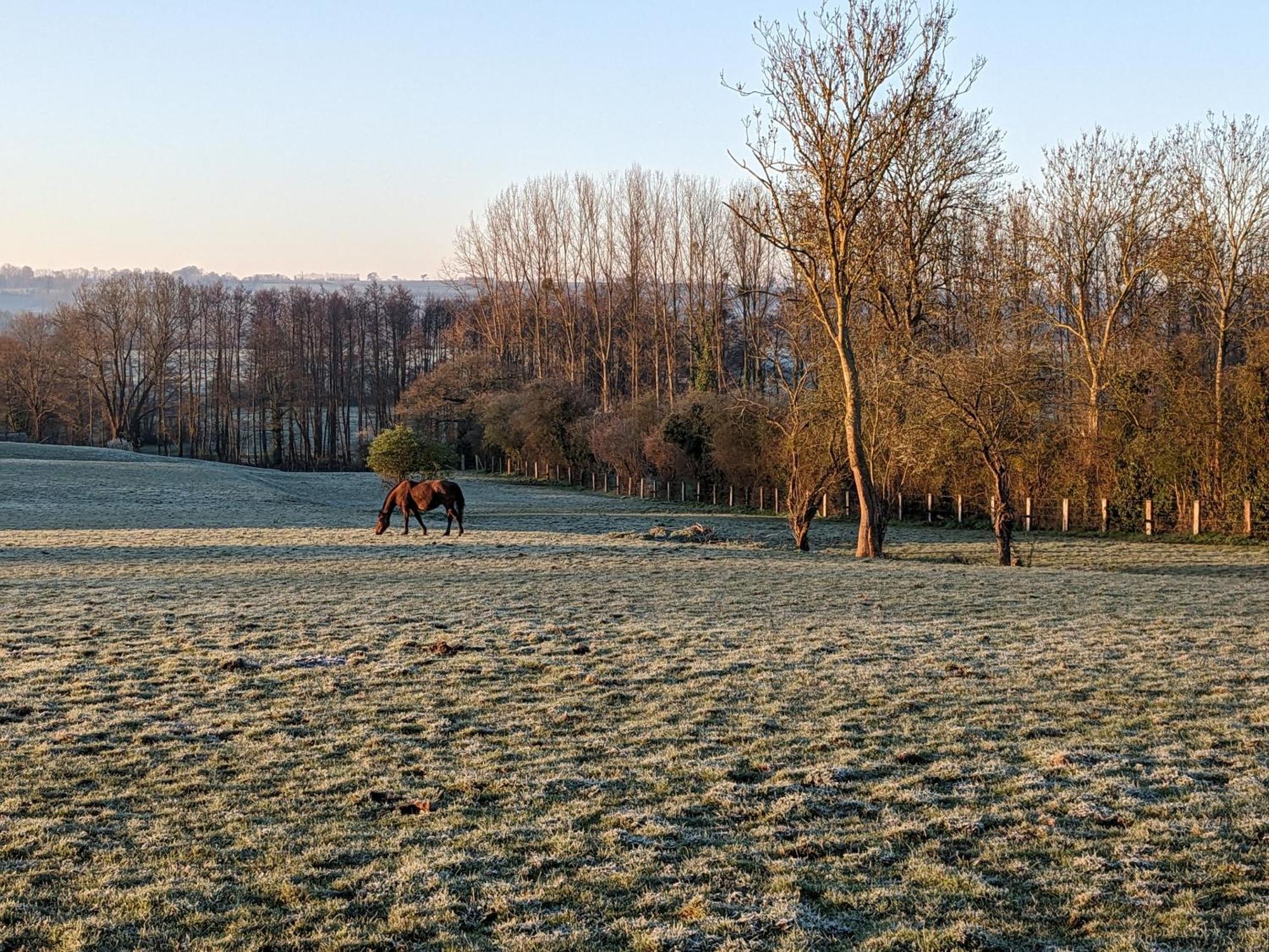 Le Haras D Havetot Otel Anctoville Dış mekan fotoğraf